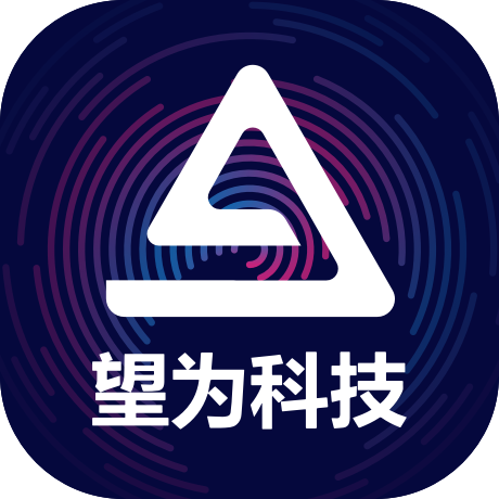 公司logo-北京望为科技有限公司