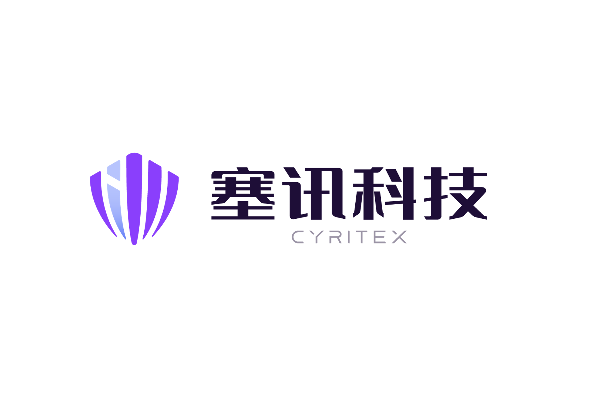 塞讯信息技术(上海)有限公司