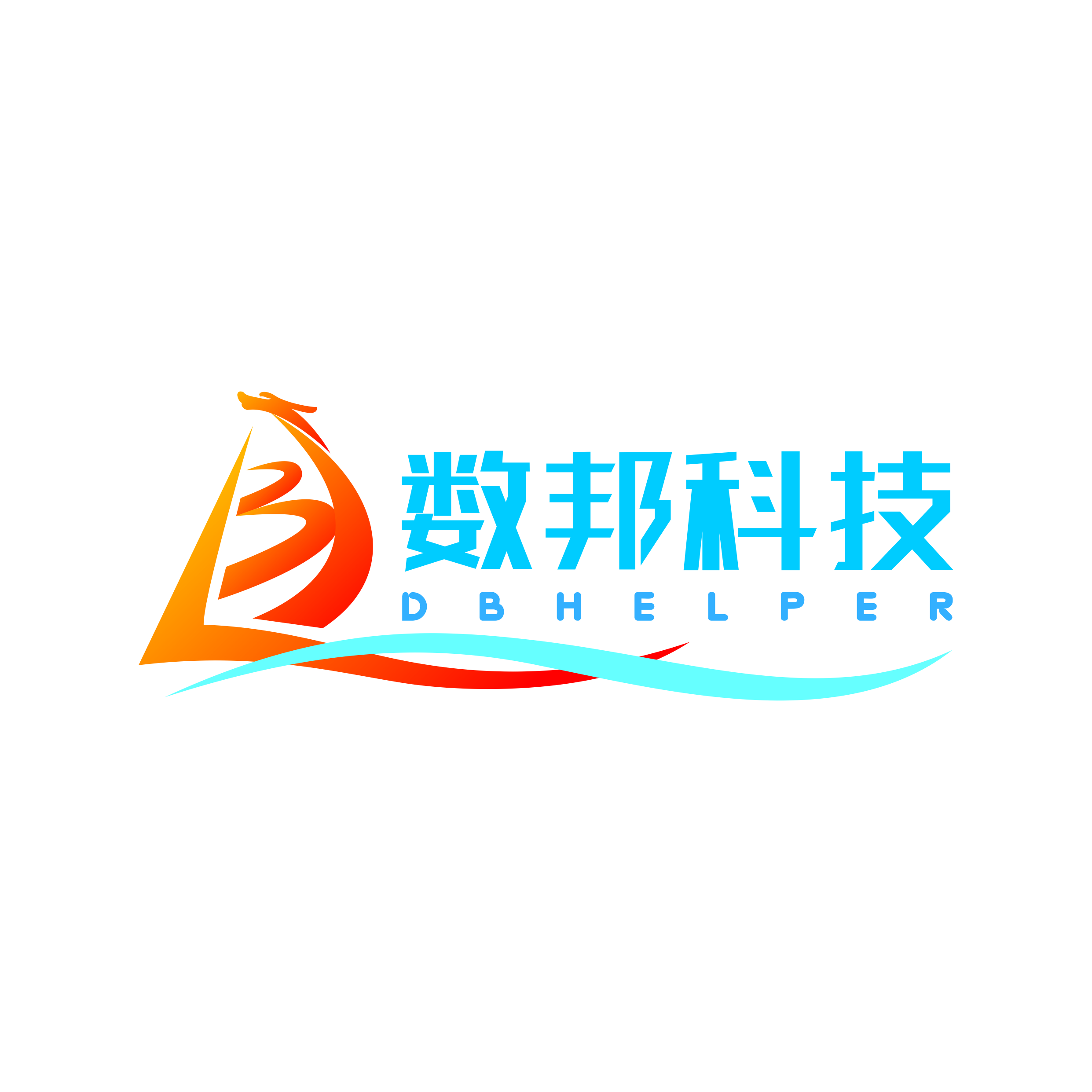 广东数邦科技有限责任公司